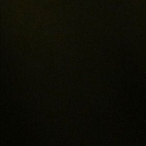 Meet your Posher, Diona